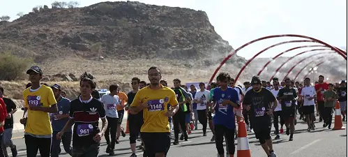 إدارة التشغيل واللوجستيات